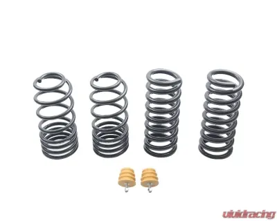 ST Suspensions 1.0" / 25mm Sport Lowering Spring Ford Mustang 1979-2004 - 60090