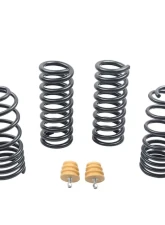 ST Suspensions 1.0" / 25mm Sport Lowering Spring Ford Mustang 1979-2004                                     - 60090 - Image 2