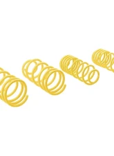 ST Suspensions 1.2" / 30mm Sport Lowering Spring Audi TT | TT Roadster | Volkswagen Golf IV | Beetle 1998-2010                                     - 66205 - Image 2