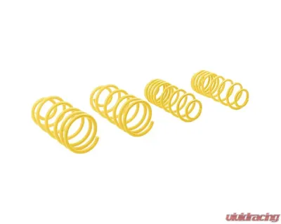 ST Suspensions 1.2" / 30mm Sport Lowering Spring Audi TT | TT Roadster | Volkswagen Golf IV | Beetle 1998-2010 - 66205