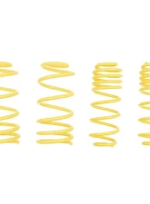 ST Suspensions 1.2" / 30mm Sport Lowering Spring Audi TT | TT Roadster | Volkswagen Golf IV | Beetle 1998-2010                                     - 66205 - Image 2