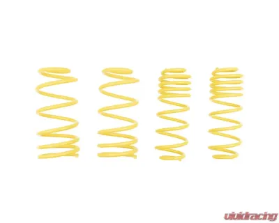 ST Suspensions 1.2" / 30mm Sport Lowering Spring Audi TT | TT Roadster | Volkswagen Golf IV | Beetle 1998-2010 - 66205