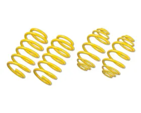 ST Suspensions 2 pcs Muscle Car Springs Chevrolet Chevelle | Malibu | El Camino 1964-1966
