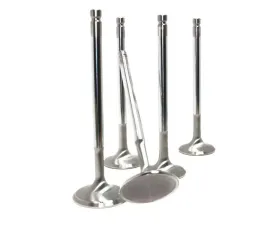 GSC P-D Single 31.5mm Head (+1mm) Polished Super Alloy Exhaust Valve Mitsubishi 4G63T Evolution 1-9 1992-2007