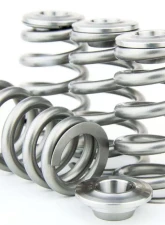 GSC P-D Titanium Retainer Steel Spring Seat Conical Valve Spring Kit Nissan TB48                                     - 5077 - Image 2