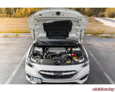 GrimmSpeed High Lift Hood Struts Subaru WRX | STI 2015+ - 113072