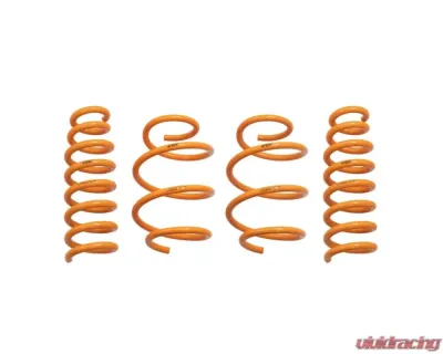 ARK GT-F Lowering Springs Kia Stinger 2018+ - LF0804-0118