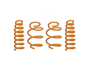 ARK GT-F Lowering Springs Genesis G70 2018+