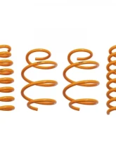 ARK GT-F Lowering Springs Genesis G70 2018+                                     - LF1601-0218 - Image 5