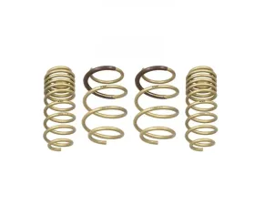 ARK GT-S Lowering Springs Honda Civic Sport Hatchback FK7 | Coupe | Sedan 2016+