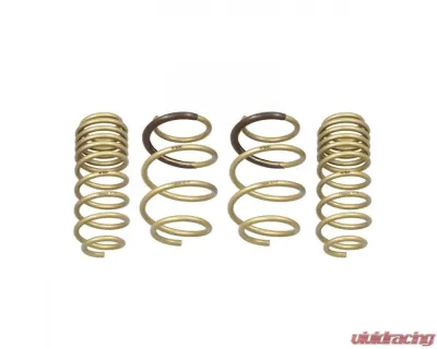 ARK GT-S Lowering Springs Honda Civic Sport Hatchback FK7 | Coupe | Sedan 2016+ - LS0604-0116
