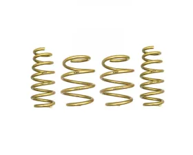 ARK GT-S Lowering Springs Hyundai Veloster N (Fits Turbo Models) 2019+