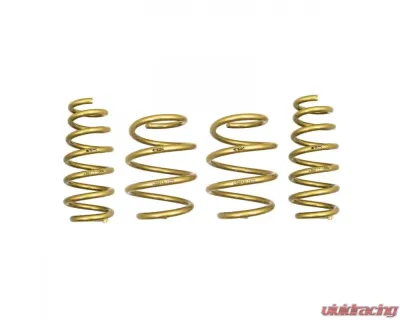 ARK GT-S Lowering Springs Hyundai Veloster N (Fits Turbo Models) 2019+ - LS0713-1900