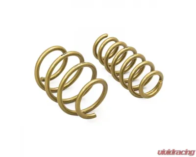 ARK GT-S Lowering Springs Hyundai Veloster N (Fits Turbo Models) 2019+ - LS0713-1900