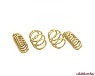 ARK GT-S Lowering Springs Kia Stinger 2018+ - LS0804-0118