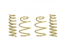 ARK GT-S Lowering Springs Genesis G70 2018+