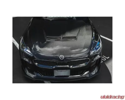 ARK S-FX Carbon Fiber Hood Kia Stinger 2018+ - SFFH-0811C