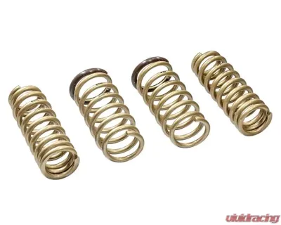 ARK Performance GT-S Lowering Springs Lexus RC200t | RC300 RWD | RC350 RWD 2015-2018 LS1501-0115 - LS1501-0115