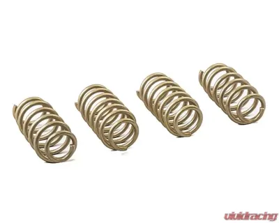 ARK Performance GT-S Lowering Springs Genesis G80 2017+ - LS1602-0117