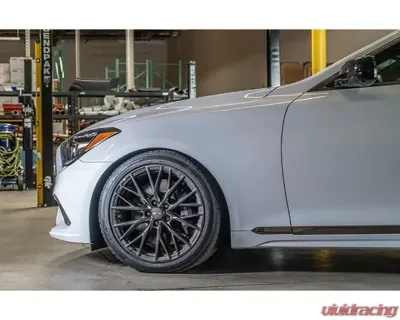 ARK Performance GT-S Lowering Springs Genesis G80 2017+ - LS1602-0117