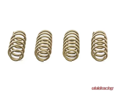 ARK Performance GT-S Lowering Springs Genesis G80 2017+ - LS1602-0117
