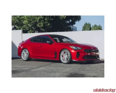 ARK Carbon Fiber Side Skirts Kia Stinger 2018-2021 - CF08-SK01