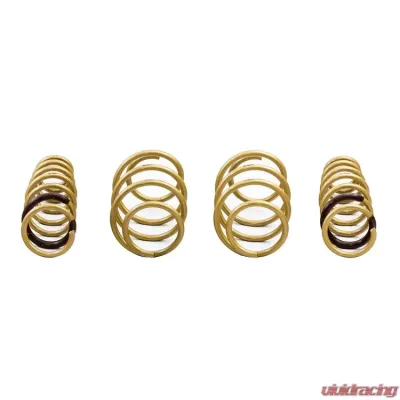 ARK GT-S Lowering Springs Kia K5 2018-2021 - LS0802-2100