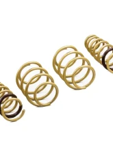 ARK GT-S Lowering Springs Kia K5 2018-2021                                     - LS0802-2100 - Image 2