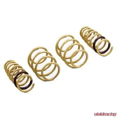 ARK GT-S Lowering Springs Kia K5 2018-2021 - LS0802-2100