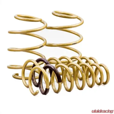 ARK GT-S Lowering Springs Kia K5 2018-2021 - LS0802-2100
