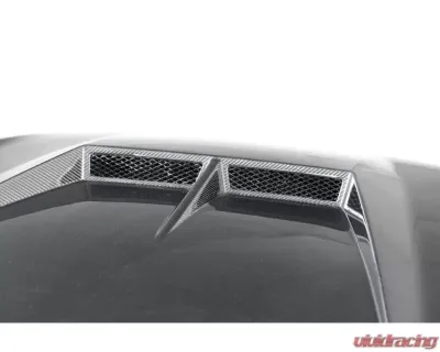 ARK Performance Legato V2 Hood Carbon Fiber Kia Stinger 2018-2023 - SFLH-0822C