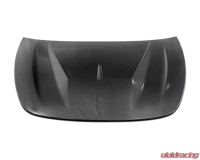 ARK Performance Legato V2 Hood Carbon Fiber Kia Stinger 2018-2023 - SFLH-0822C