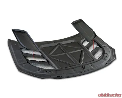 ARK Performance C-FX Fiberglass Hood for Subaru BRZ & Toyota GR86 2022+ - CFXH-1202FG