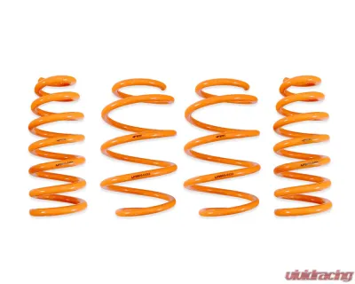 ARK Performance GT-F Lowering Springs for 2022+ Kia EV6 AWD & Hyundai Ioniq 5 AWD - LF0806-0422