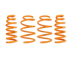ARK Performance GT-F Lowering Springs Genesis GV60 AWD 2022+