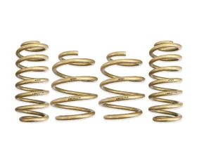 ARK Performance GT-S Lowering Springs Hyundai Elantra N 2022+