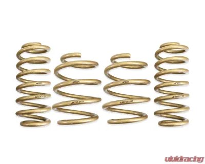 ARK Performance GT-S Lowering Springs Hyundai Elantra N 2022+ - LS0715-2123