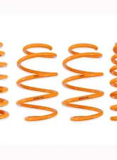 ARK Lowering Springs Genesis GV60 2023                                     - LF1600-0023 - Image 3