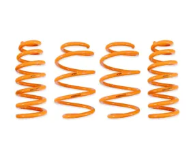 ARK GT-F Lowering Springs Kia EV6 | Hyundai Ioniq 5 2022+