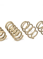 ARK GT-S Lowering Springs Ford Mustang 2015-2021                                     - LS0503-0115 - Image 2