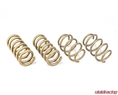 ARK GT-S Lowering Springs Ford Mustang 2015-2021 - LS0503-0115