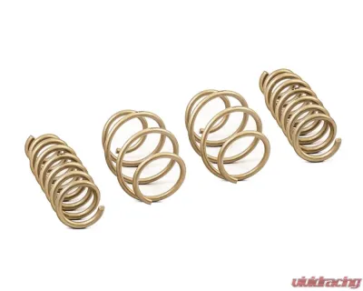 ARK GT-S Lowering Springs Kia Stinger 2018-2023 - LS0804-0118