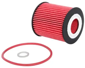 K&N Oil Filter