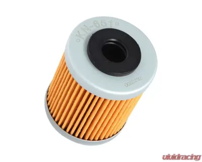 K&N KN-651 Oil Filter - KN-651