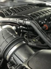 Whipple 3.0L Stage 1 Supercharger Kit Ford Mustang Bullitt 2019-2021                                     - WK-2626-STG1-30-NFT - Image 2