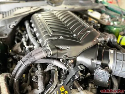Whipple 3.0L Stage 2 Supercharger Kit Ford Mustang Bullitt 2019-2021 - WK-2626-STG2-30-NFT