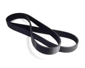 Paxton 6-Rib Supercharger Drive Belt NOVI 1000 Ford Mustang GT 2000-2002