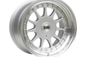 ESM-003R