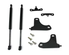 Steeda Hood Strut Kit Ford Fusion 2013-2020