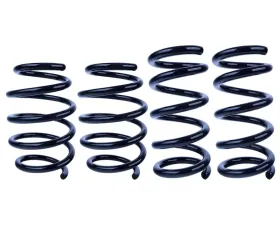 Steeda Linear Ultralite Lowering Springs Ford Mustang GT | V6 2015+